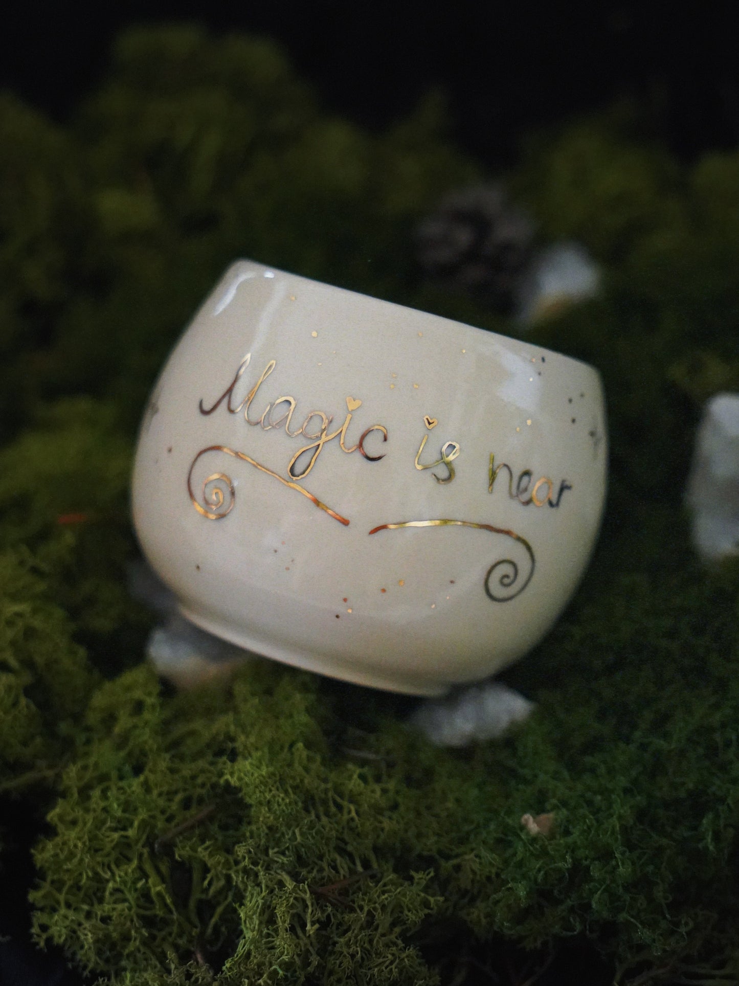 Enchanted Amanita Mug